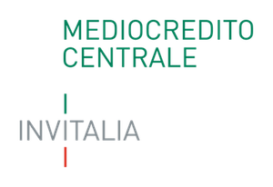 Mediocredito Centrale Invitalia